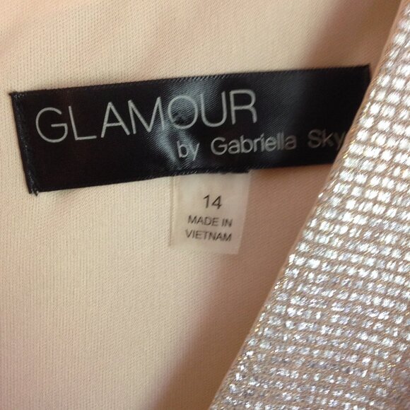 Glamour by Gabrielle Lined Cocktail Dress Silver 14 NWT - Picture 2 of 6